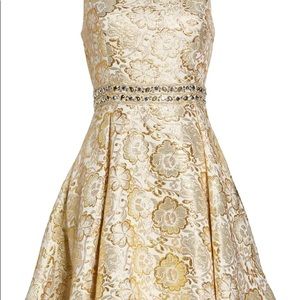 Lilly Pulitzer Levy Dress